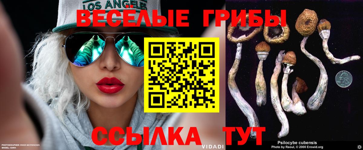 Псилоцибиновые грибы Psilocybe  Псилоцибиновые грибы прущие грибы  Когалым  Вход с VPN 